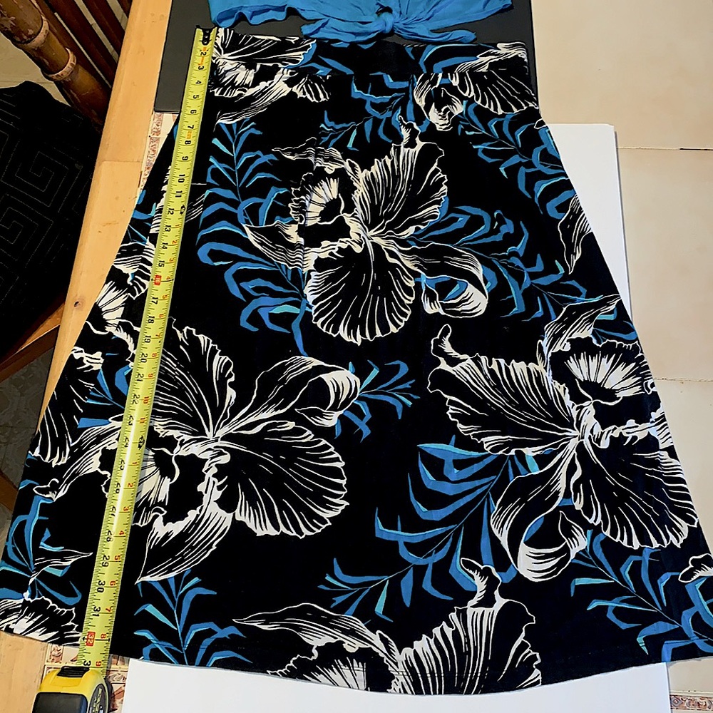 Dana buchman top and skirt semi used